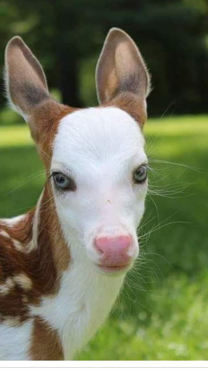 Biz 14 taneyiz Urfa dayız her birimizi 21.500 tl ye öldürücekler kısacası öldürülmek için ödül koydular bize acımayacaklar ALLAH IM BİZİ KORU.. bu kanunu iptal et YARABBİM..bize günah değilmi ..KANUNUN İPTALİ İÇİN SES VERİN..