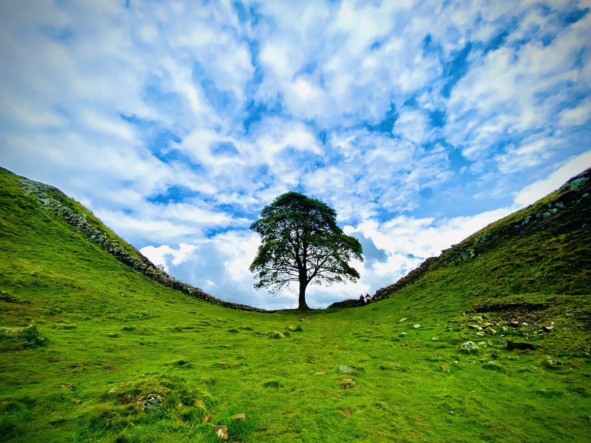 Final stop on our Roman holiday, the iconic Sycamore Gap on Hadrian’s Wall. Wild mixed up weather, these were taken 5 minutes apart @LLHistory @Roman_Britain