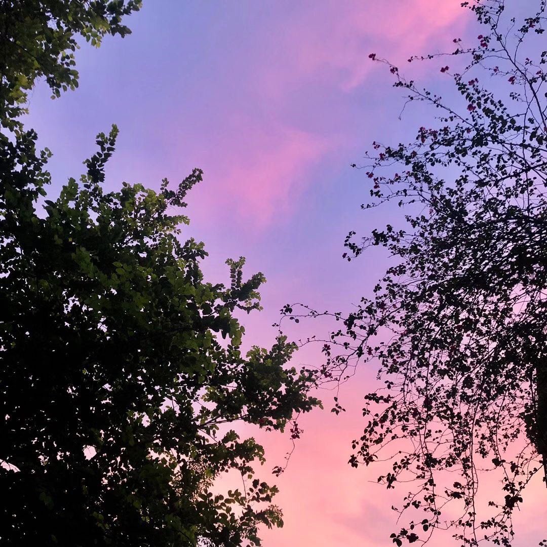 z11 (@zhao11z11) on Twitter photo 