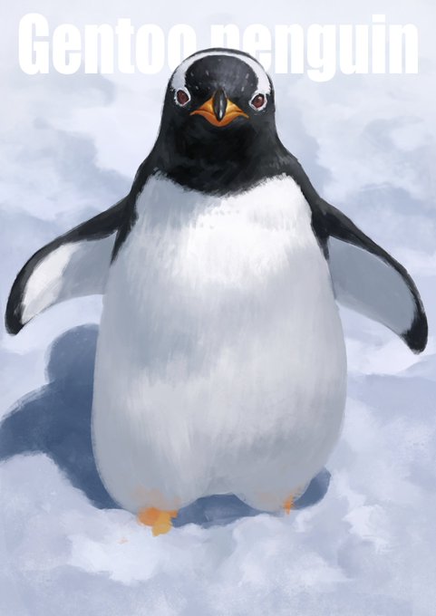 ジェンツーペンギンさん 