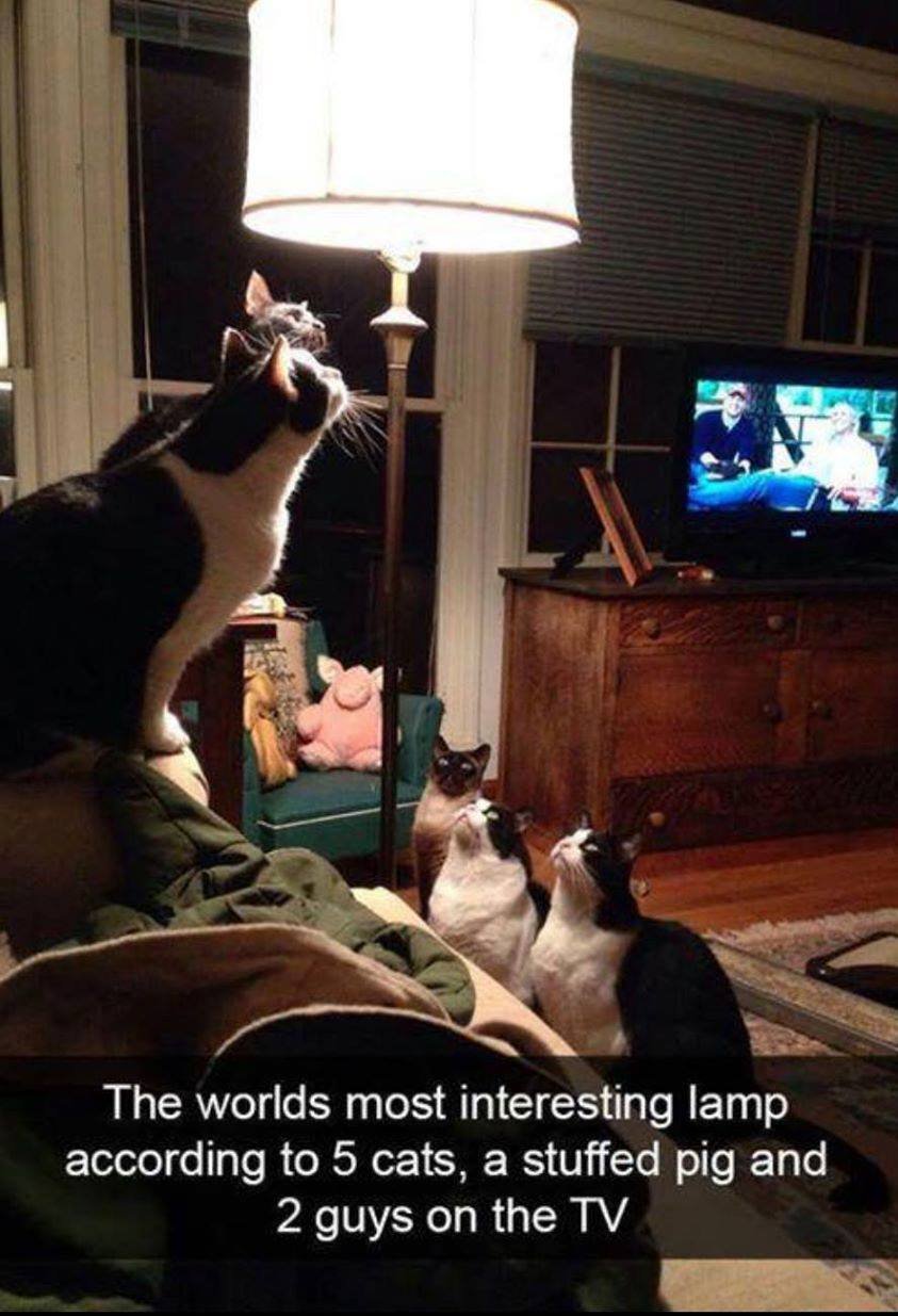 Egg_6u3VoAcq0AJ?format=jpg&name=large