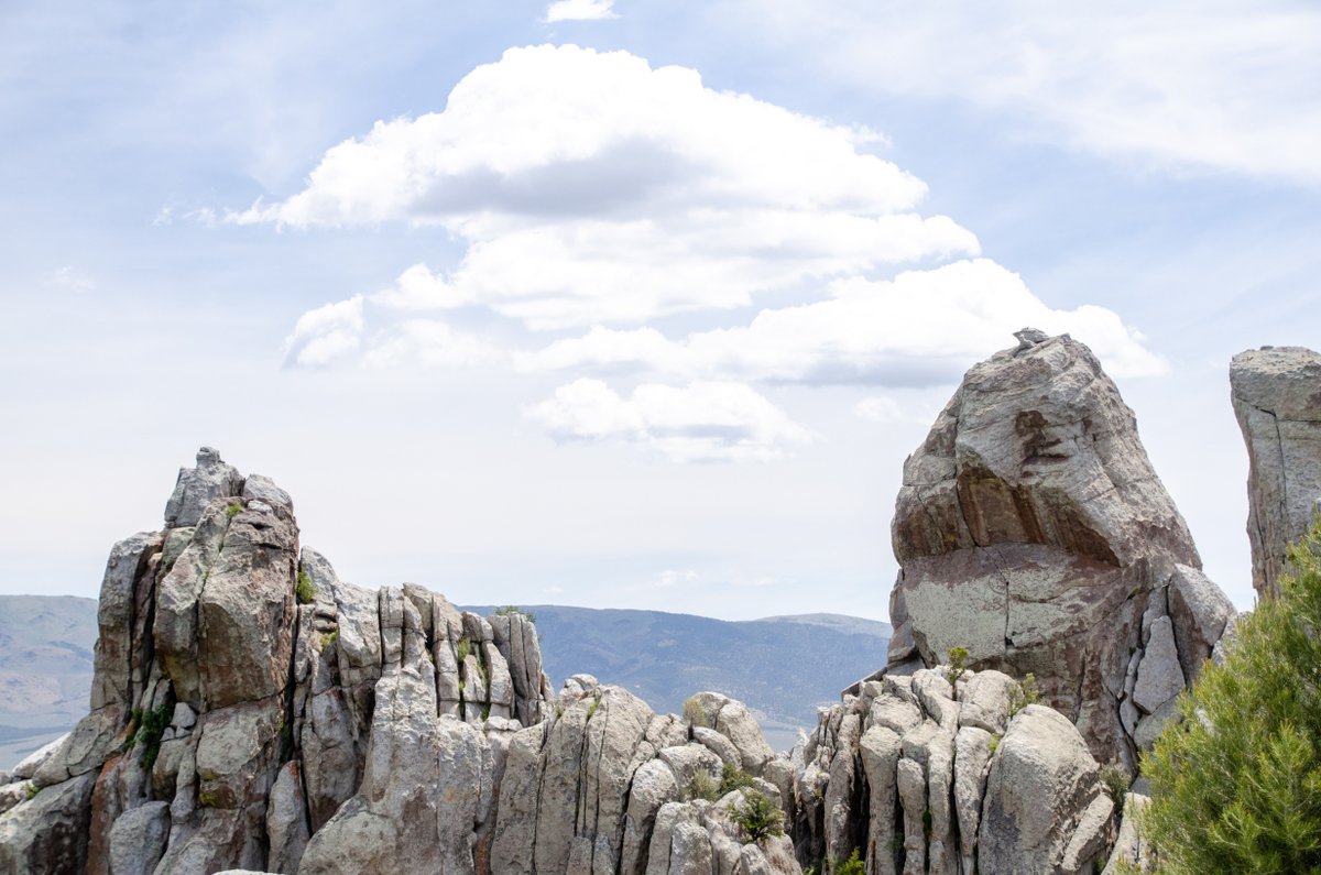 ModFam_global's tweet image. Hiking at Castle Rocks – Backyard Boulders Trail

modfam.global/best-hiking-ca…

#ModFam #ModFamGlobal