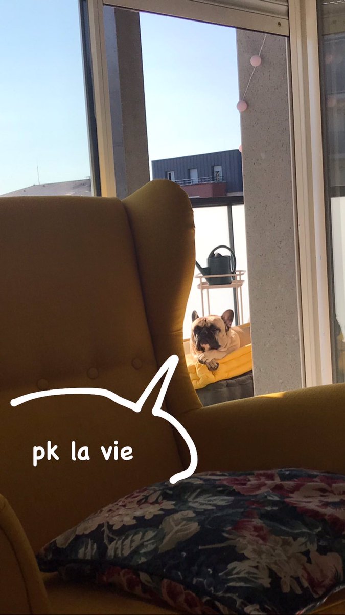 Lalligataure's tweet image. 