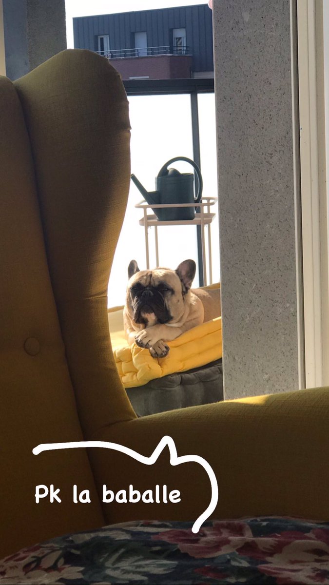 Lalligataure's tweet image. 