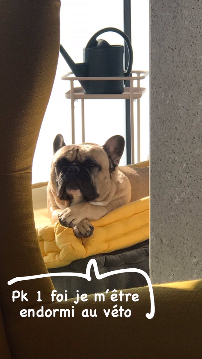 Lalligataure's tweet image. 