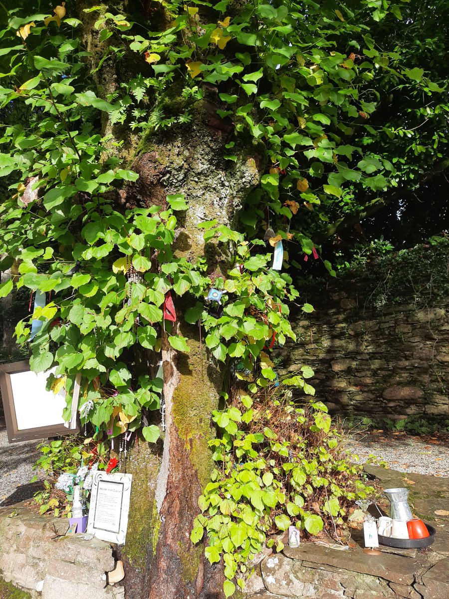 The second holy well is a little down the road, and has a Wishing tree next to it. I love this place. Would like to have taken a better photo, but did not want to intrude too much on the offerings left by people, as this is such a personal thing.