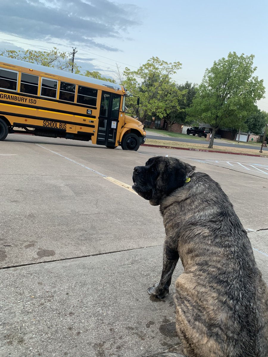 Just had my bath and now I’m waiting for those kids to get off that bus! ❤️ <a href="/emmaelem/">Emma Roberson Elementary School</a>