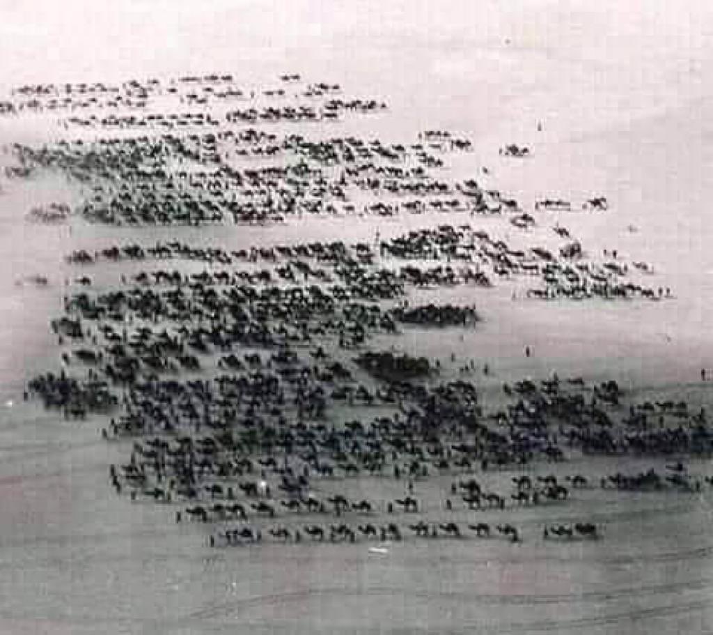 اشراف اون لاين tweet media