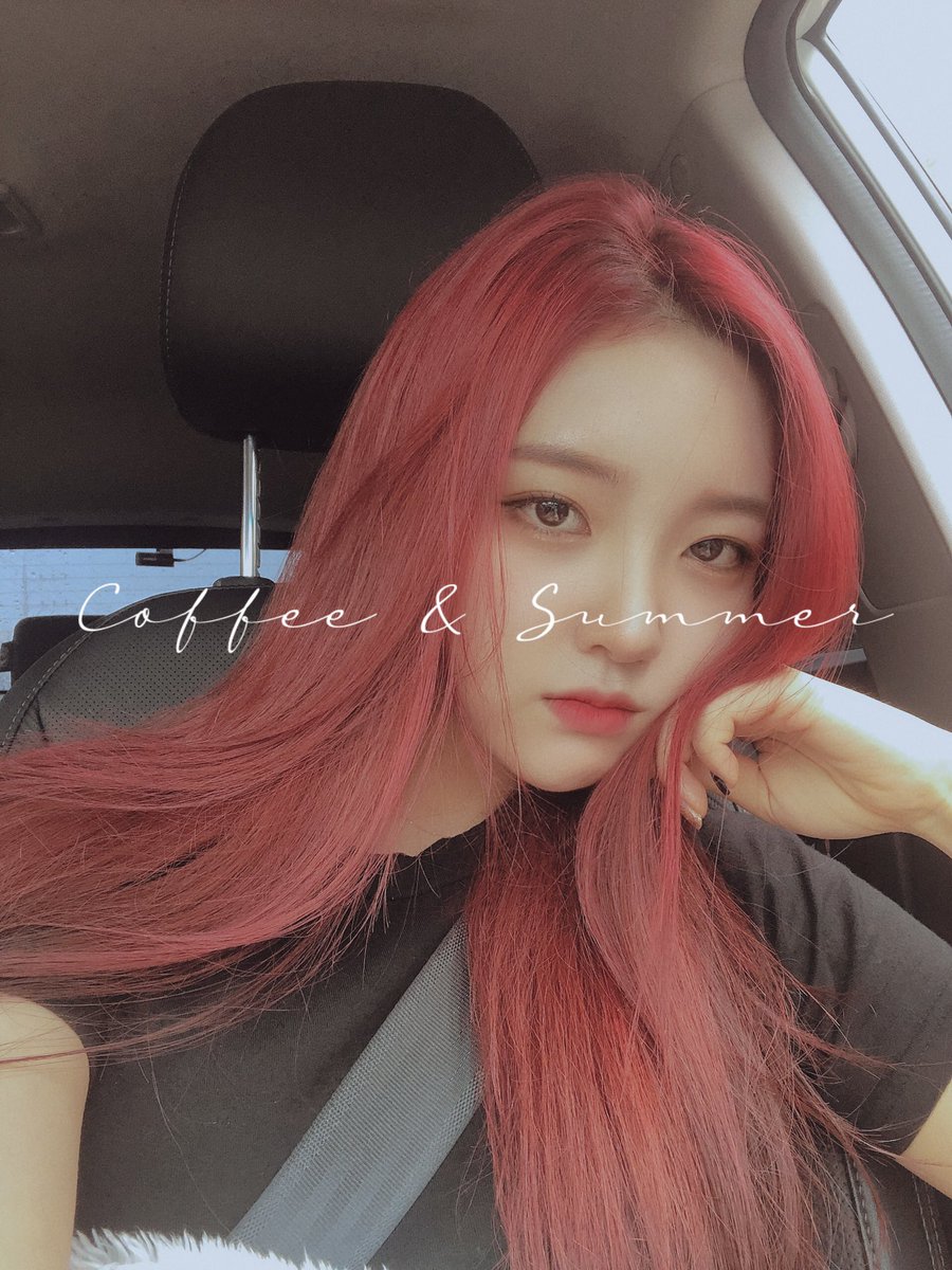 S.I.S [에스아이에스] tweet media