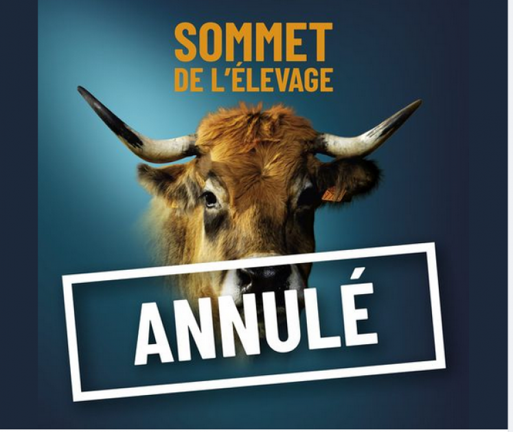 reussirpatre's tweet photo. Le Sommet de l'élevage 2020 est annulé https://t.co/C0HHHw0wX7 https://t.co/94qhVysq8x