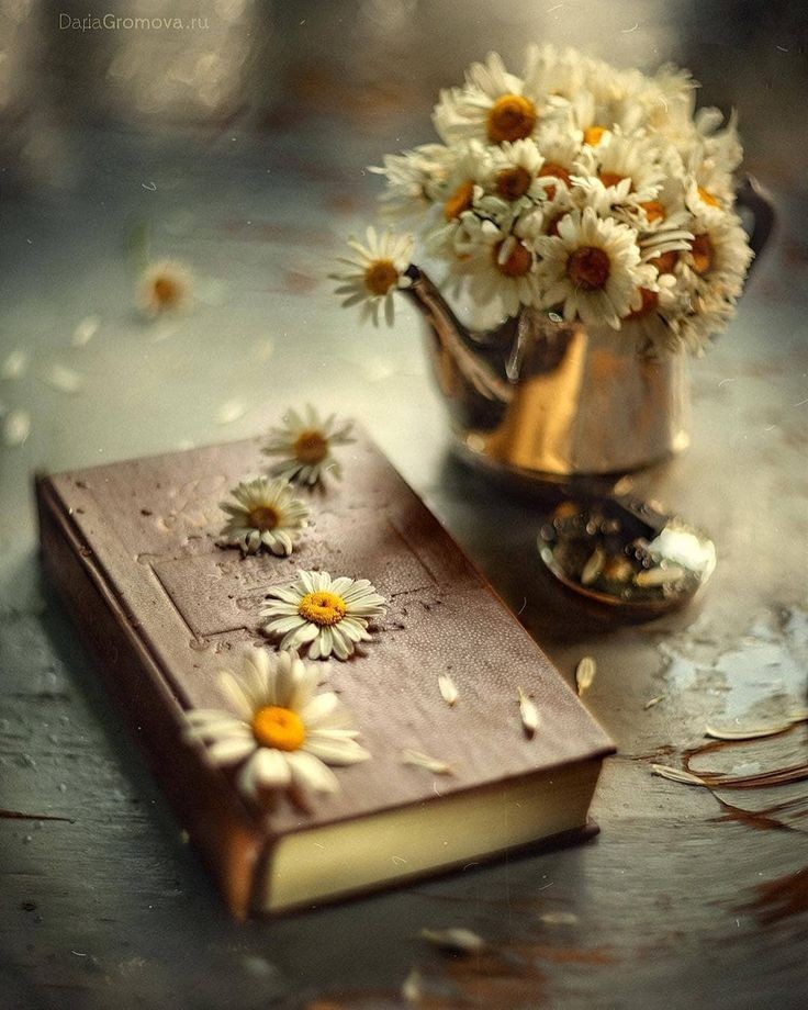 책을 읽을때
좋은 부분을
밑줄을 치찮아

중요한 부분은
별표를 해 두잖아

소중한 책은
고이간직하잖아

난
너에게
그런 소중한 사람이였음 좋겠어