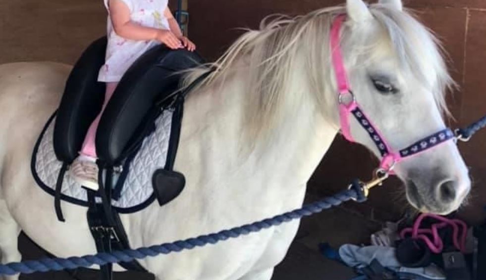 North Norfolk Radio tweet media