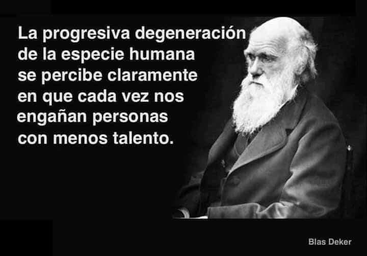 robertologbr's tweet image. 