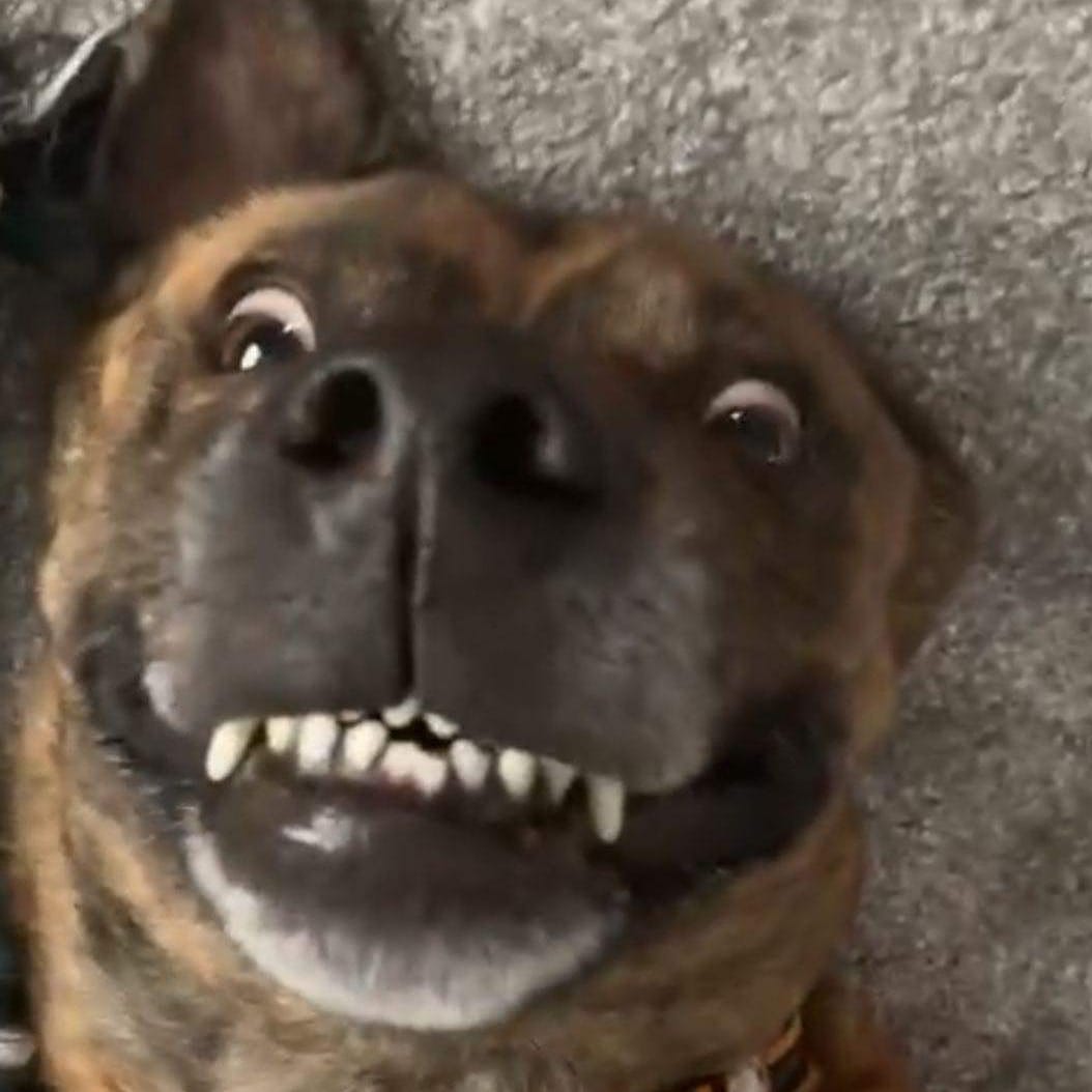  Happy Birthday Amanda hope you have a fabulous day,our dog Bear wishes you a great day aswell. 