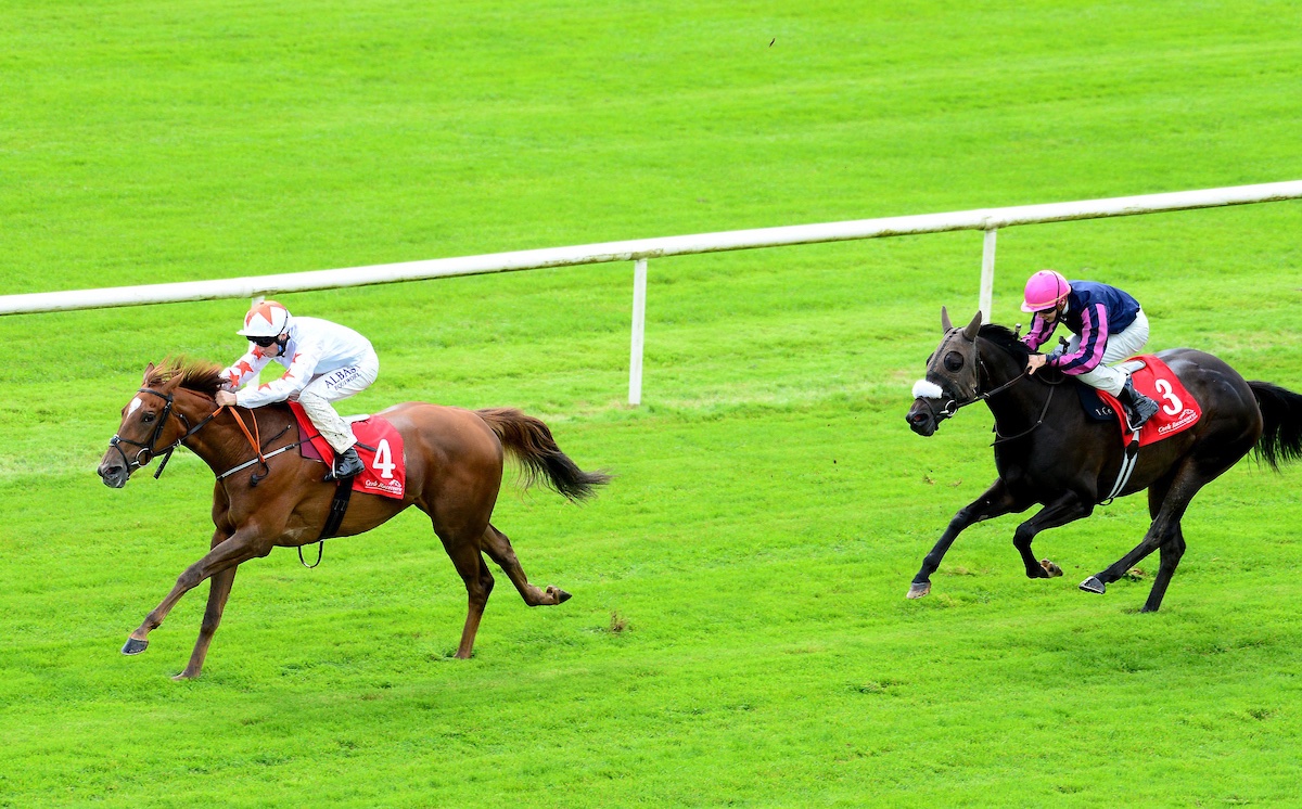 Stack_Racing's tweet image. Brussels Back To Winning Ways At Cork... bit.ly/3b6ni1o #StackRacing