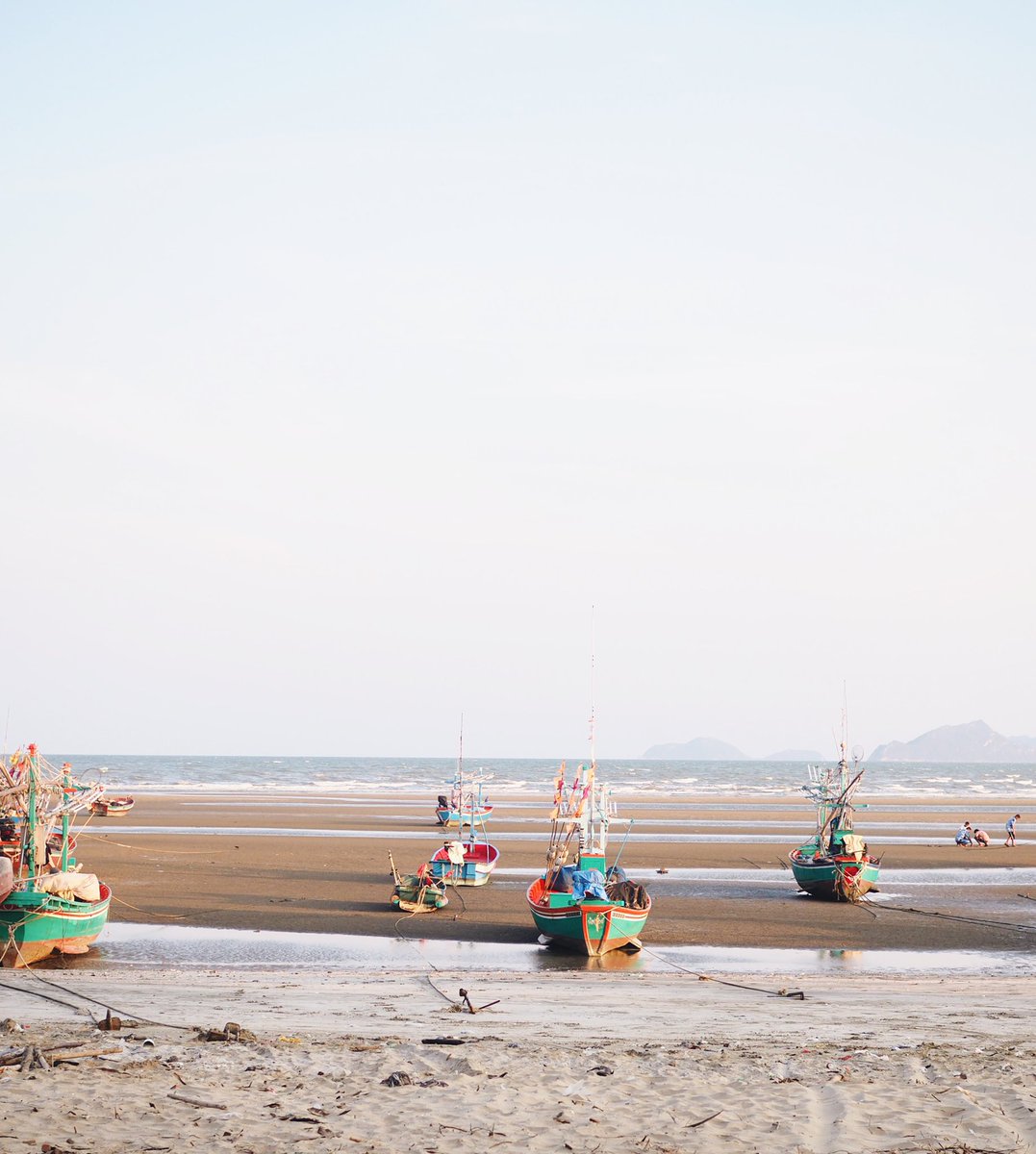 Hidden thread. tweet media