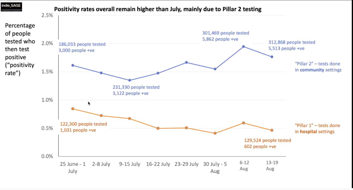 Positivity rates remain high