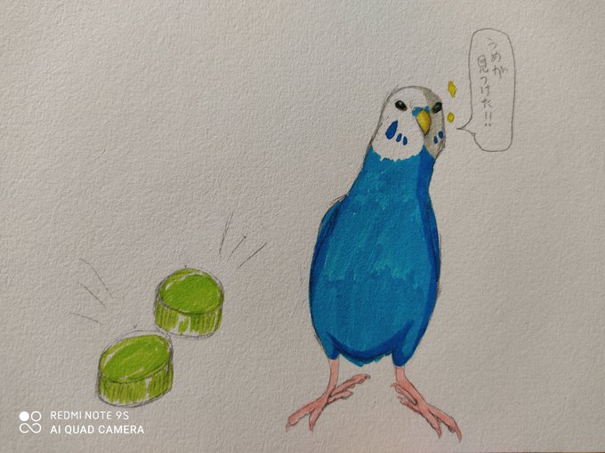 最も好ましい うめちゃん インコ うめちゃん インコ みたいな 最も好ましい うめちゃん インコ うめちゃん インコ みたいな