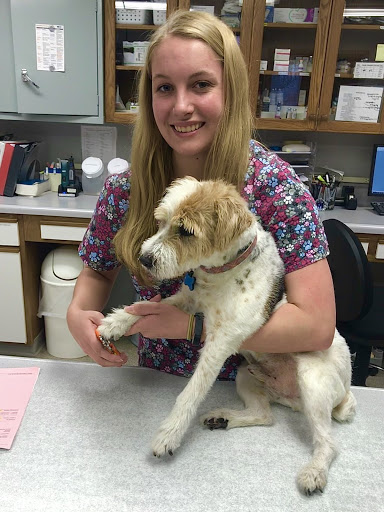 It's been a while, but we're back with Officer Q&amp;A's! There have been some issues with the website, so for right now we'll be posting these interviews on our Instagram so you can all see them. We will let you know as soon as the website is up and running! 😀