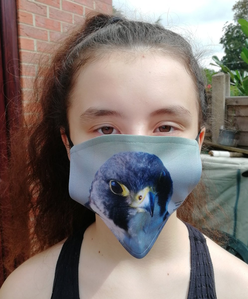 You can buy 'Peregrine portrait' here; https://www.carlbovis.com/product-page/face-mask-peregrine-portrait 