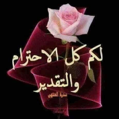 د / أدهم tweet media