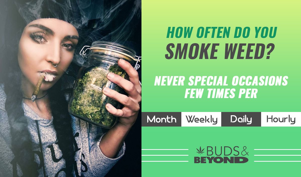 BudsnBeyond's tweet photo. How often? Select one or more option from below to share with the community how much you love smoking weed? Put down comments below.

#smoking #weed #often #weed #greenherbs #weekend #Fryay #Weekendbegins #FridayFeeling #FridayThoughts https://t.co/sw9crIluVA