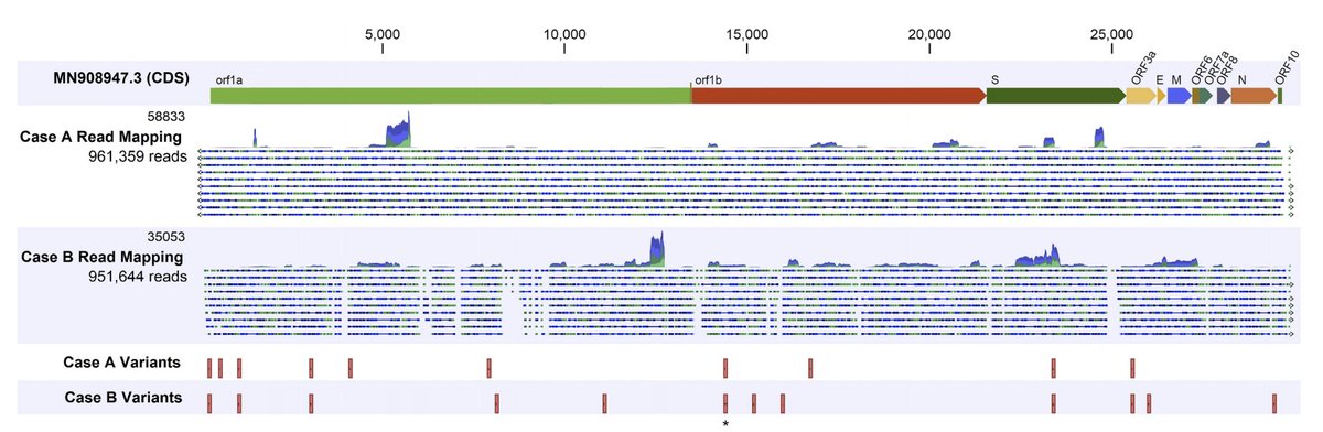 Viral genome of 1st and 2nd isolates differed significantly, indicating that reinfection occurred. (3/n)