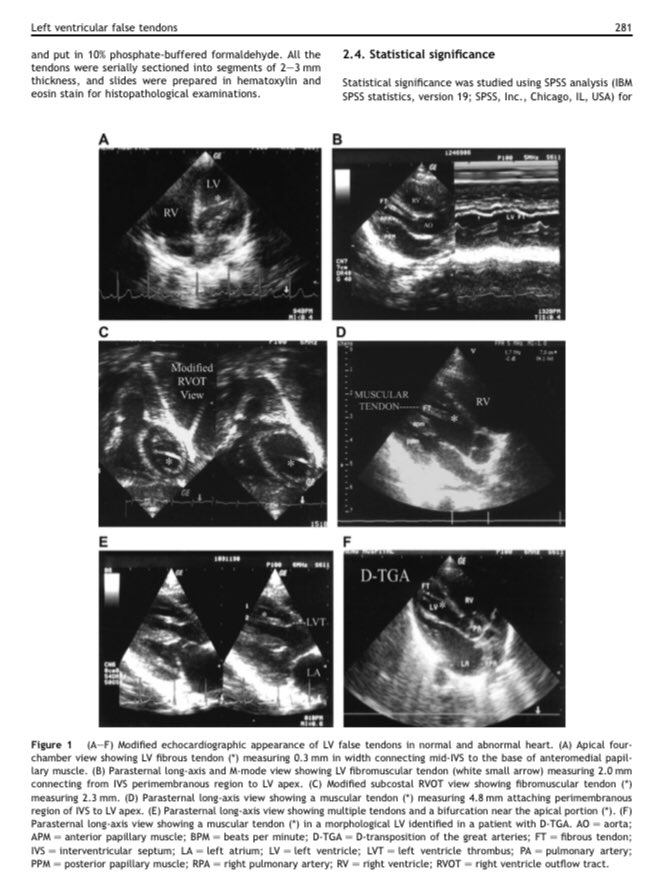 Jorge Faerron tweet media