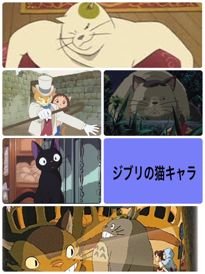 ジブリ作品は猫キャラが多い これまでに登場したかわいい動物キャラを一覧で紹介 大人のためのエンターテイメントメディアbibi ビビ