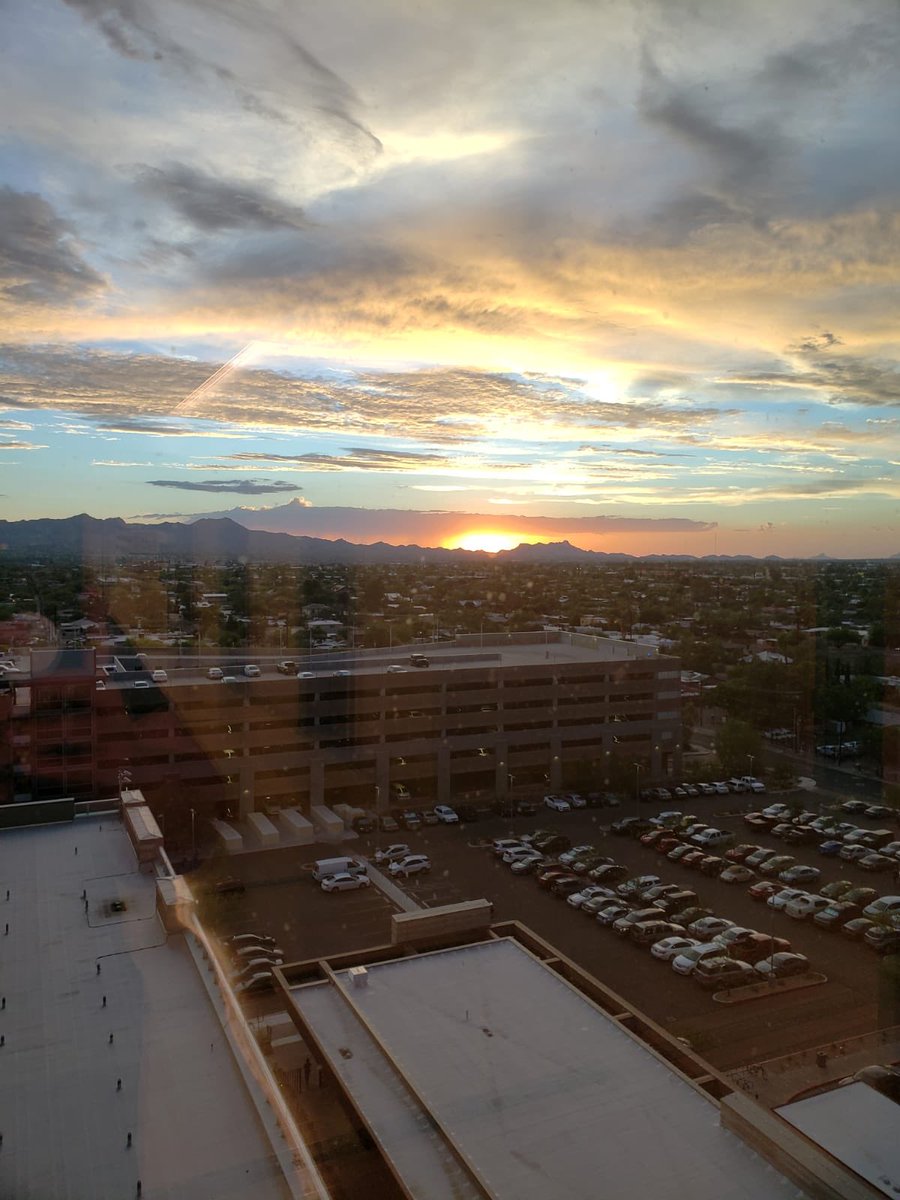Good morning #MedStudentTwitter #MedTwitter from #Tucson! We’d like to share the beautiful sights that our residents explore during their downtime. Today’s views are seen through the lens 📸 of PGY-2, Dr. Catherine Chan. #Match2021 MICU Sunrise: