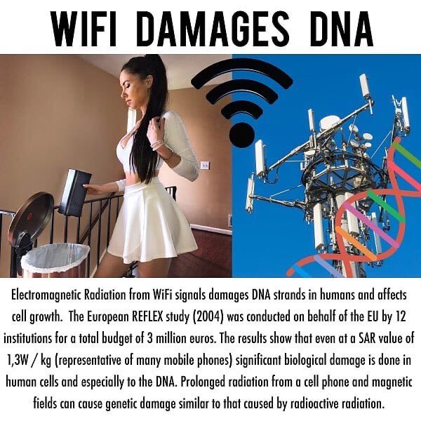 Wifi is dangerous to biological lifeforms. We are electromagnetic beings and we respond to electromagnetic frequencies. Thousands of studies show the harmful effects of wifi on humans including it’s links to cancer, brain tumors, oxidative stress, depression, headaches etc