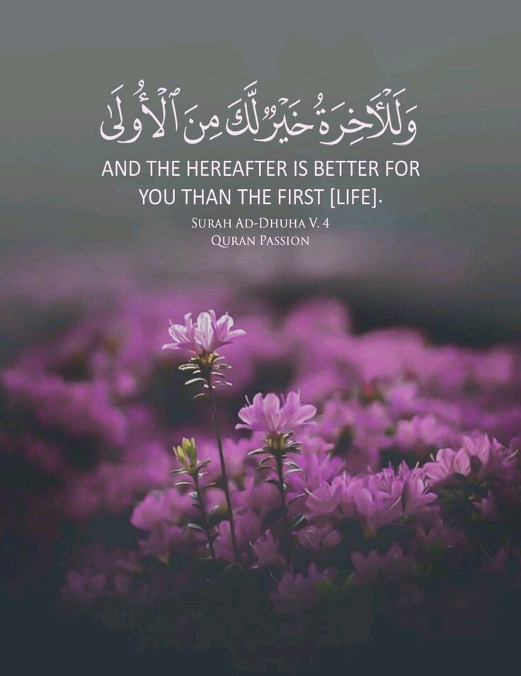 piii_98's tweet photo. Heaven is better than this mortal world, keep your heart always attached to Allah and how to enter Heaven Do not let this world deceive you with what it contains. https://t.co/IV9rOYpWV6