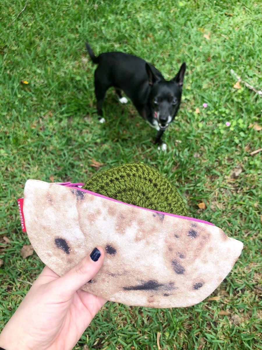 the_badbird's tweet photo. Reminiscing about how exciting it was to learn about second breakfast while working in #Luxor for the first time... @cairopolitan made it easy to recreate the scene back home with a spoiled dog instead of a Karnak kitty 😂 https://t.co/KCen5OQGPB