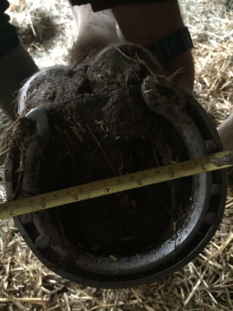 InspsWMFed tweet media