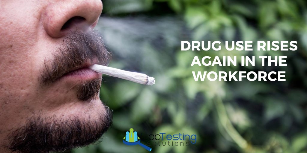 LabTestingUSA's tweet image. Drug use rises again in the American workforce - Marijuana positivity continues to climb, led by positivity in recreational use states

ow.ly/OAPU50Bc3wr

#DrugNews #EmployeeDrugTesting #Marijuana