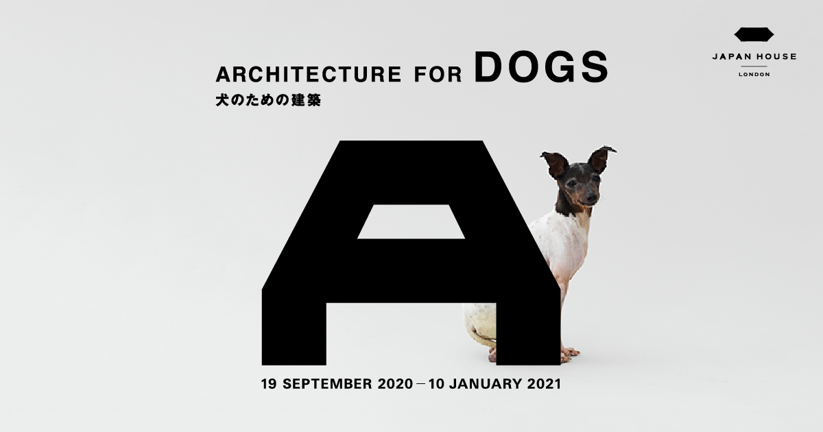 LFArchitecture's tweet image. We&apos;re excited to announce that we are working collaboratively on an events programme with our friends at @japanhouseldn to accompany their upcoming #ArchitectureForDogs exhibition, showcasing the #power of architecture in making a positive impact on our canine companions!🐶