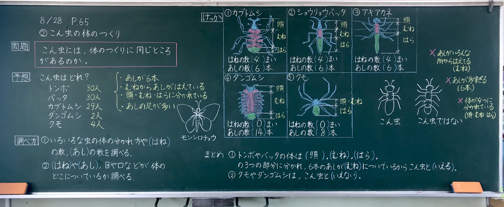 تويتر ミザリィ先生 على تويتر ３年理科 こん虫の体のつくり 昆虫の体のつくりにはどんな共通点があるのかを探しました 1学期にモンシロチョウを見て昆虫の体のつくりを学んでいたので 何となく昆虫とそうでないものの区別はできていました 蜘蛛の体が２つ 頭