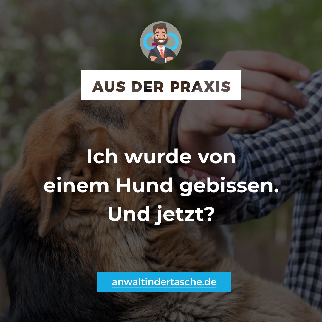 gocardsag's tweet image. Nach einem #Hundebiss kann man #Schmerzensgeld fordern.

Den Anspruch regelt der § 253 BGB, die Höhe eine Tabelle.

Neben dem Schmerzensgeld sind weitere Ansprüche möglich. Frage einen #Anwalt❗

#AnwaltInDerTasche #AnwaltsKarte #GoCardsAg #SchadenErsatz #RechtlicheBeratung