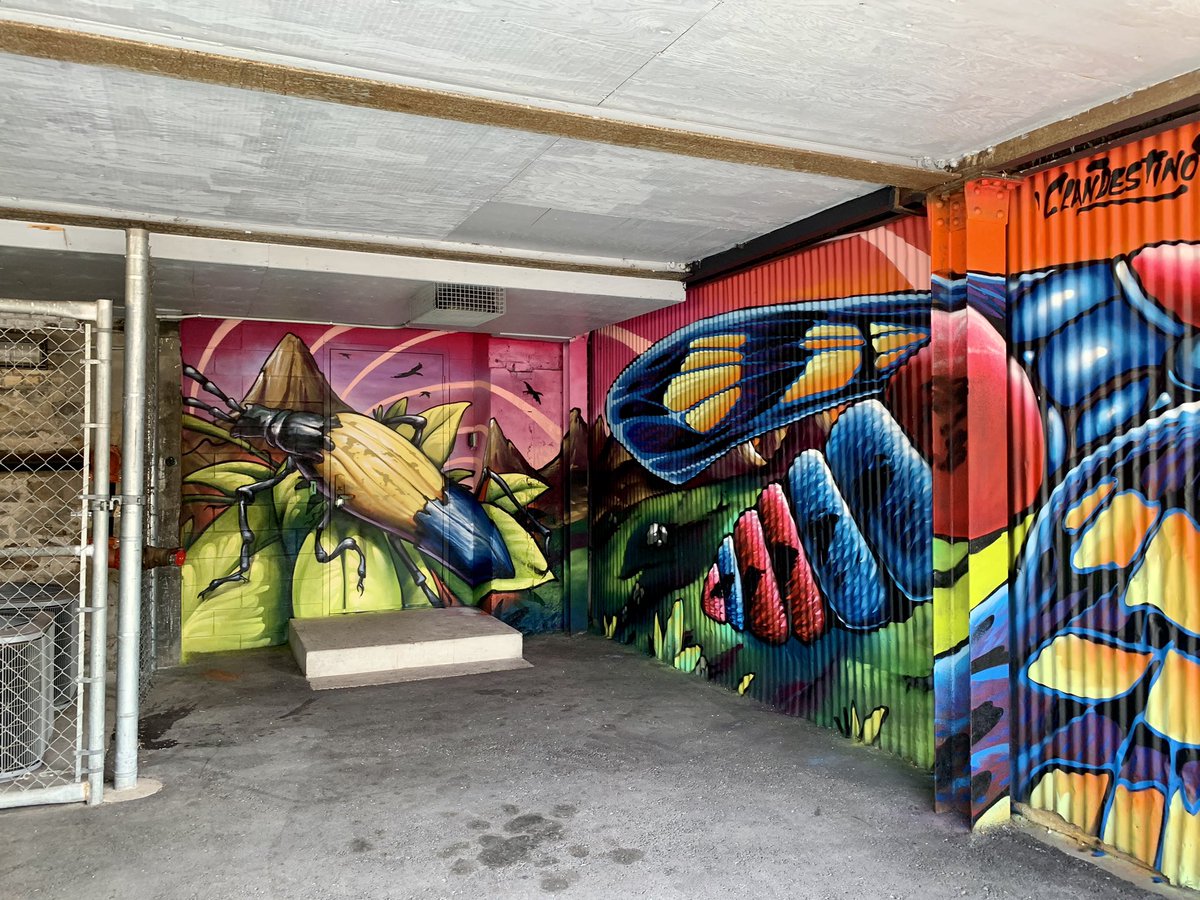 In love with the new murals along Halls Ln. 🤩