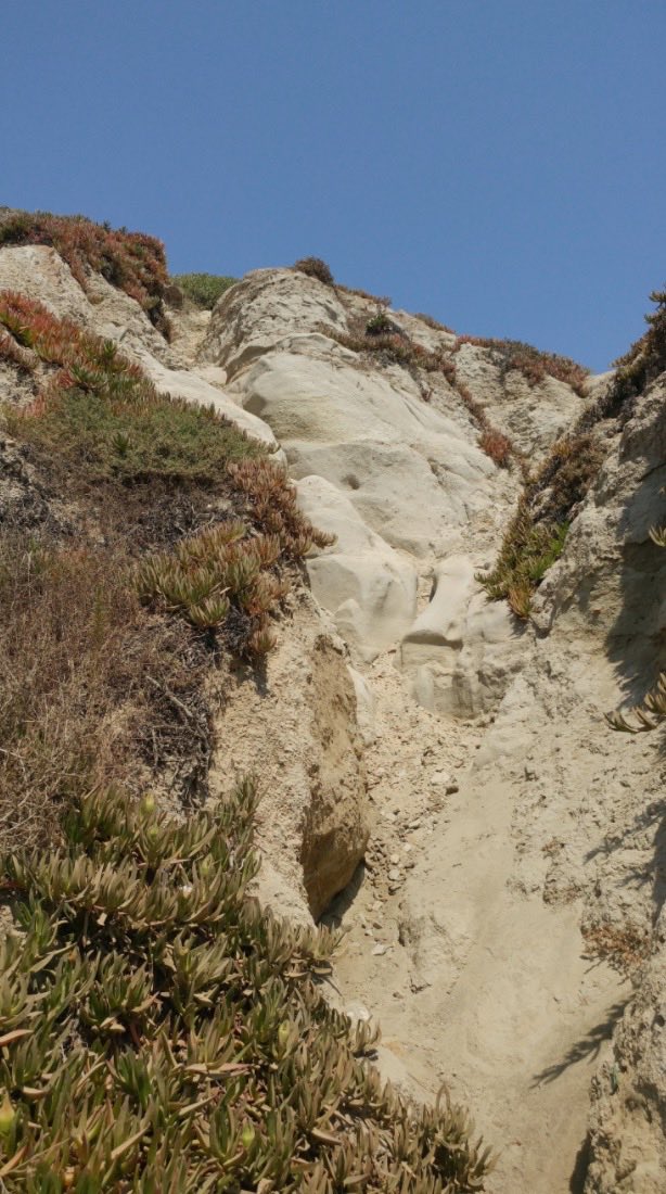 SaveSCBluff's tweet image. Development of the bluff would require extensive caissons and artificial means to stabilize erosion. This could violate the Coastal Act.