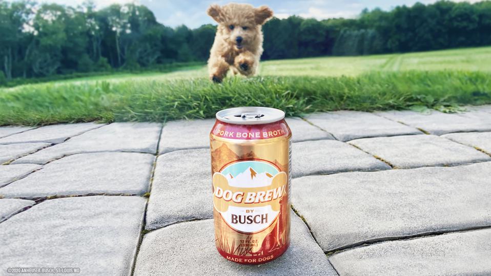 Move100Ottawa's tweet photo. The product we didn't know we needed...
Now you can enjoy a 'cold one' with your dog. 🍻 #beer #beerfordogs #MAJICMornings #Cheers
- @janelsteeper
https://t.co/bYq1Lbxea6 https://t.co/ztP5zT6GNP