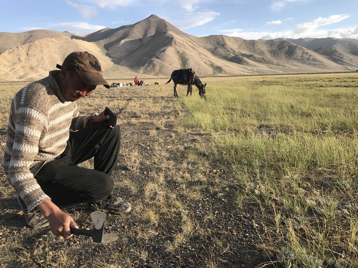 Safar Ali was our wrangler in  #Tajikistan. The donkey got loose the 1st night. So he tied her to a rock. She pulled free. He retied her. Come morning, Houdini was gone again. Ali tracked her 25 km back to Kyrgyzstan: her home.Story:  https://bit.ly/2EG73fh  #ItsTheirWalkToo4/