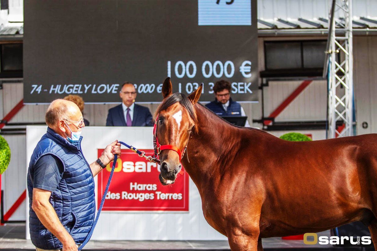 Osarus_Trot's tweet photo. [ 𝗩𝗘𝗡𝗧𝗘 𝗢𝗦𝗔𝗥𝗨𝗦 𝗧𝗥𝗢𝗧 - 𝗛𝗔𝗥𝗔𝗦 𝗗𝗘𝗦 𝗥𝗢𝗨𝗚𝗘𝗦 𝗧𝗘𝗥𝗥𝗘𝗦 ]

#Lot75 𝗜𝗡 𝗡𝗢𝗠𝗜𝗡𝗘
(M2. BRILLANTISSIME)

Présenté par le Haras des Rouges Terres adjugé à Fabien Rycroft pour 100 000€!

📲Rendez-vous sur notre site internet https://t.co/pjW4KckS2H https://t.co/25Zll2wmNs