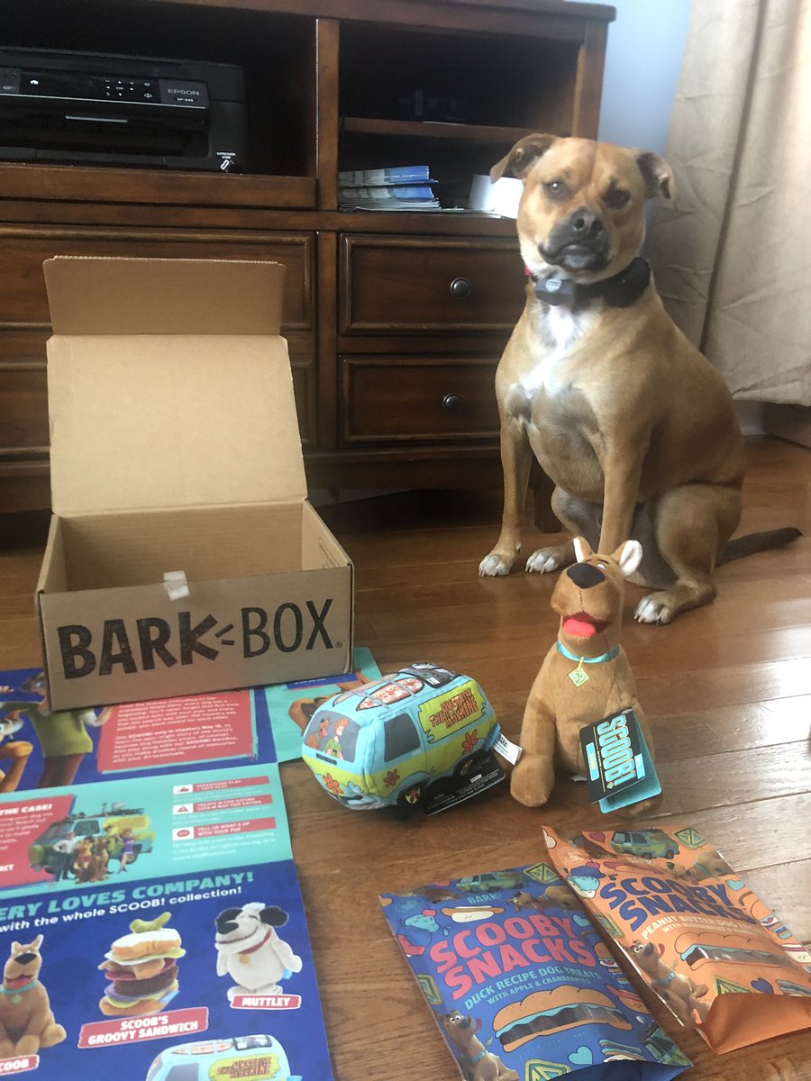 Hunter received his delivery today #barkboxday