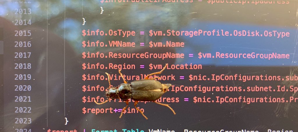 MrTerzic's tweet photo. I found the bug on the line 2020 #PowerShell #TimeForHoliday https://t.co/OGFn8ZyZN4
