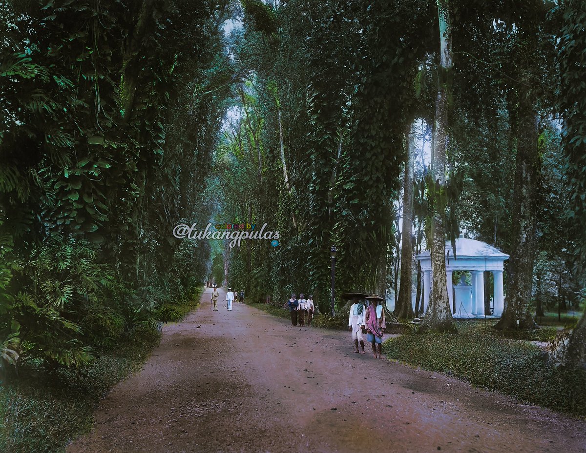 Kebun Raya Bogor sekitar tahun 1910.
