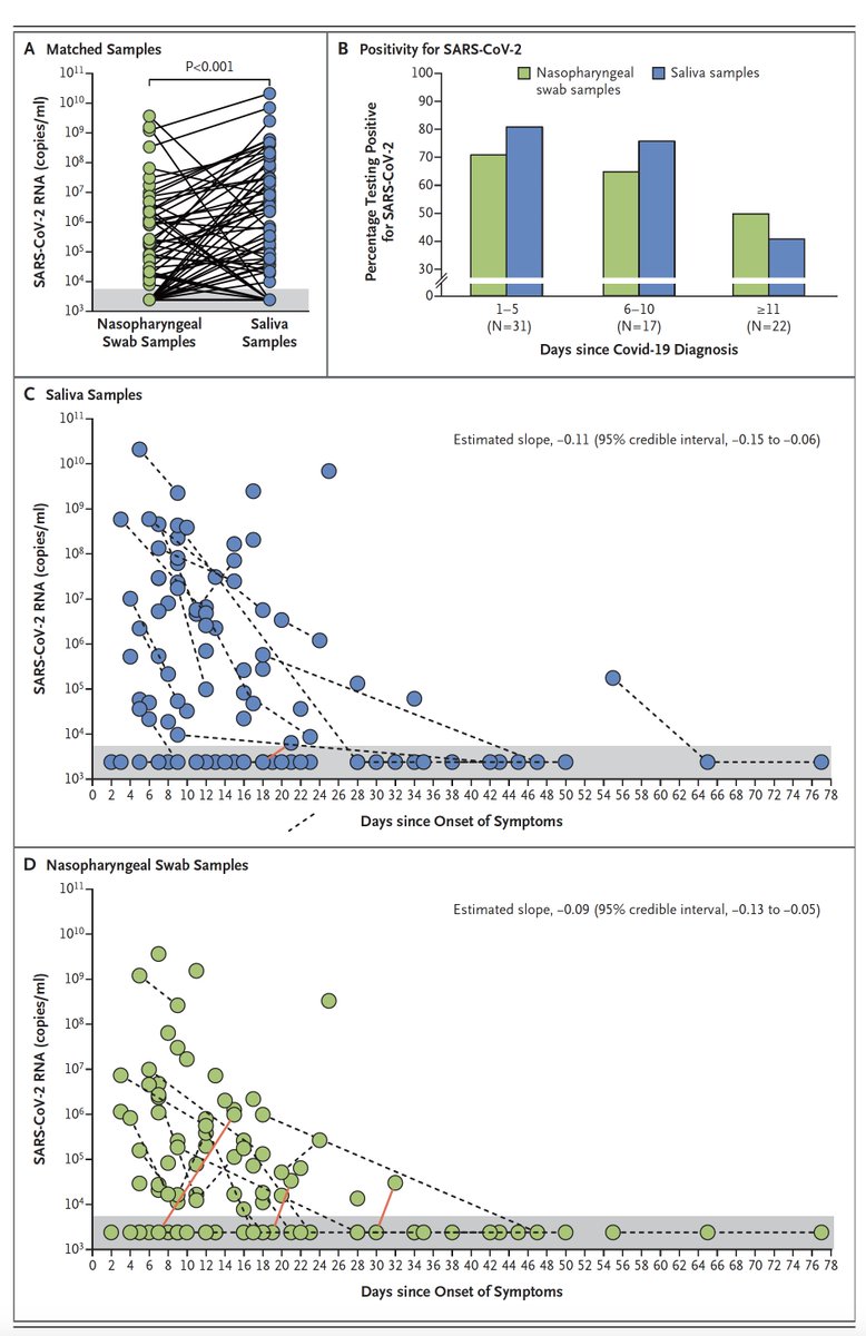 EricTopol's tweet photo. Just published @NEJM 
Strong support for saliva as an alternative to nasopharyngeal swab samples to detect #SARSCoV2
by @awyllie13 @YaleSPH and team @YaleMed 
https://t.co/waF5ODmiV8 https://t.co/zw1D2JqW0y