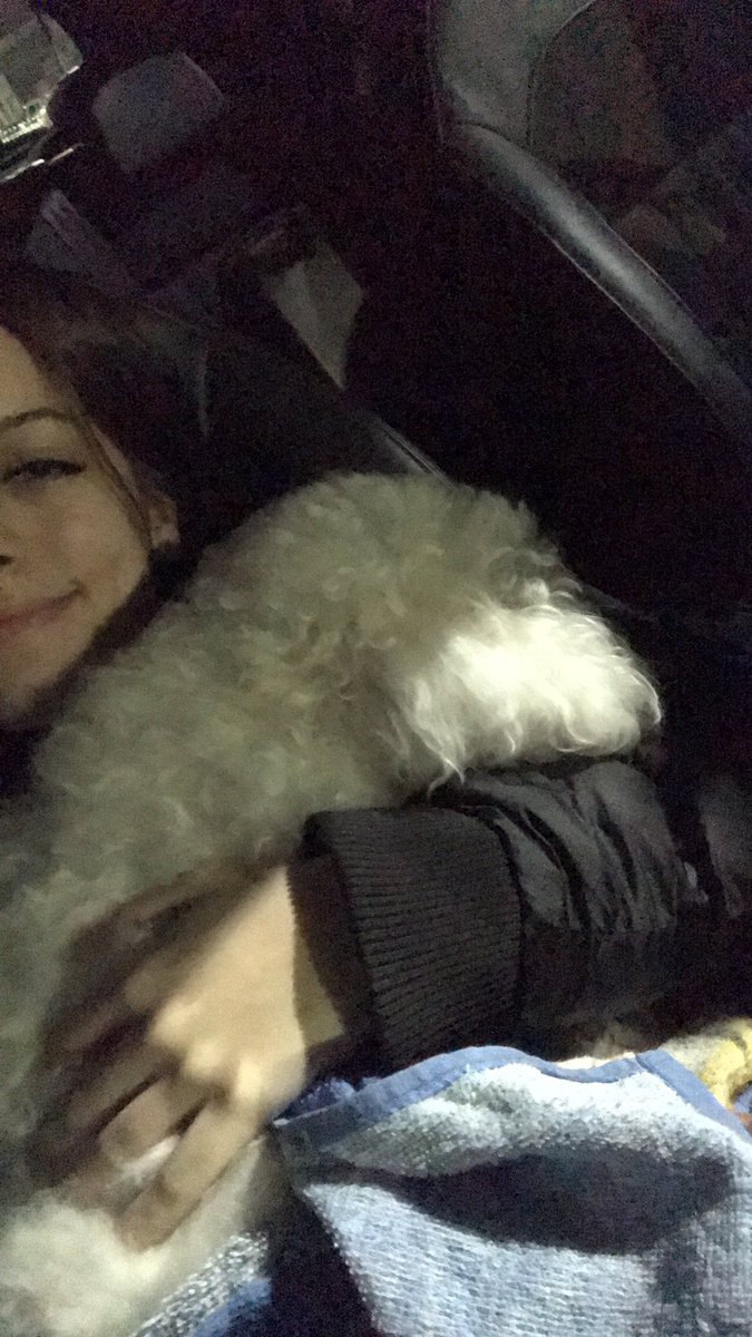 mica_spinelli's tweet photo. me levante y baje en silencio para no despertarte, me encontré todas tus cosas y me acordé que ya no estás conmigo... tengo un vacío enorme, necesito tus mimos y escuchar tus patitas un ratito. si lo hubiera sabido a tiempo trataba de salvarle la vida loquito, perdoname. Te amo https://t.co/nBmBPm8o27