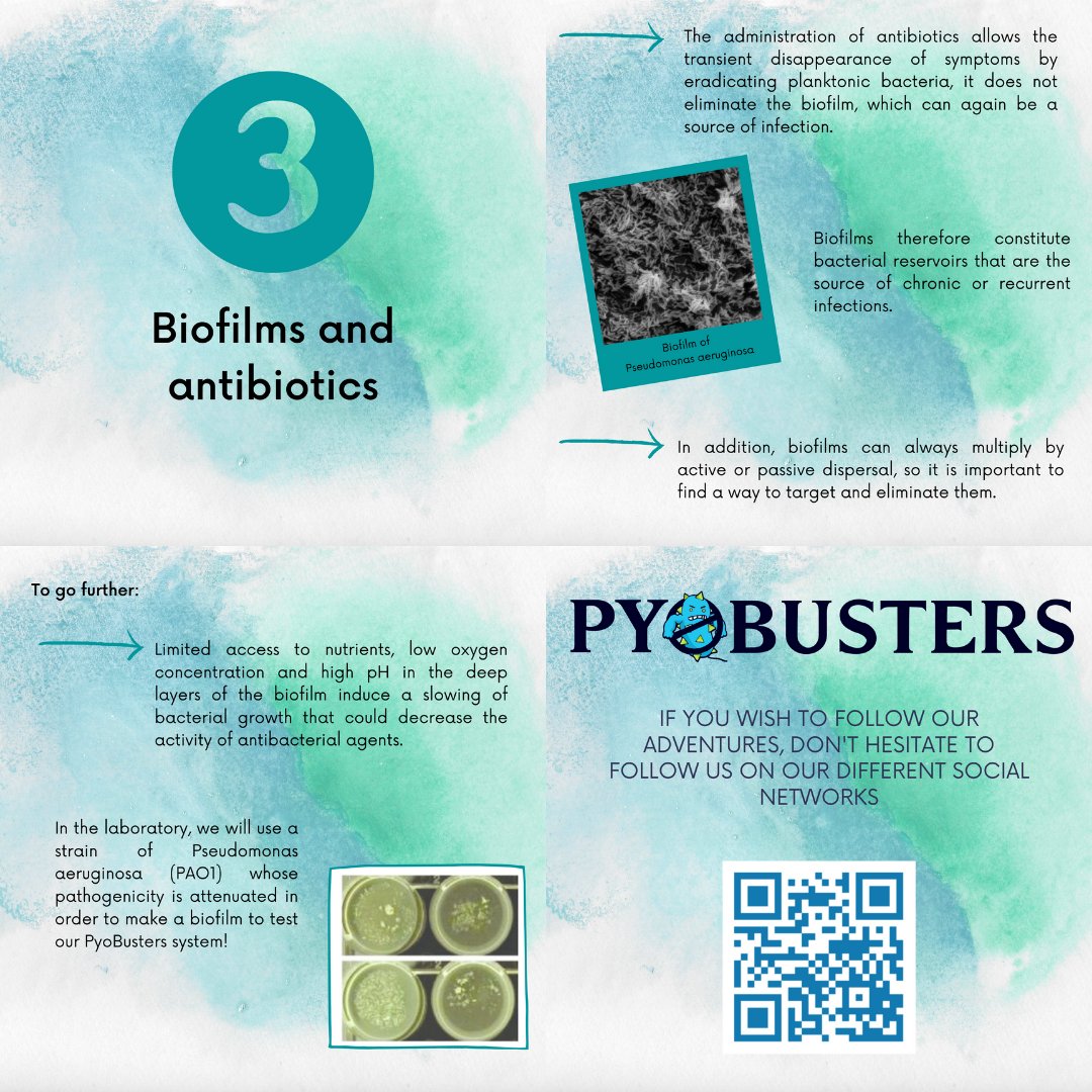 Hi everyone!
Here is the third and last part of the mini-series: zoom on biofilms! 
If you want to support our project you can give us a hand by visiting our crowdfunding page: helloasso.com/associations/i…