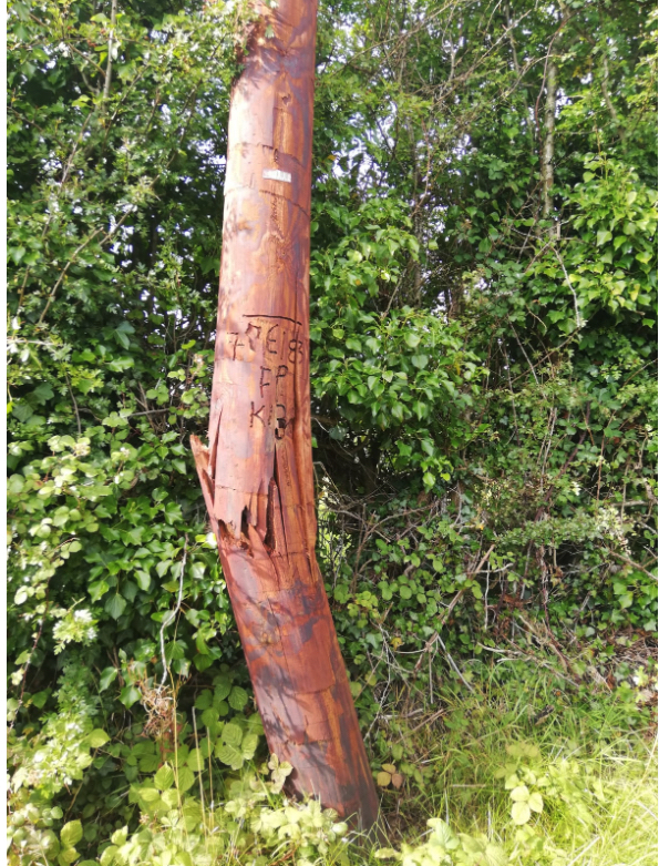 m_stephenson's tweet photo. @eir Broken Telephone call near Moyvore (Westmeath) exchange - looks like it could fall at any time. Exact location is here: https://t.co/tN5Vv98wL3
ESB have verified it's an Eir pole, not an ESB pole.
Can't get through to cust services to report. https://t.co/GN3nKjDUMU